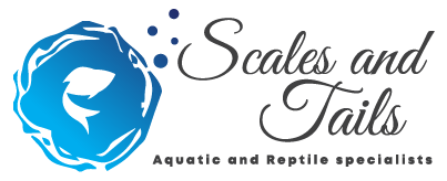 Scales & Tails